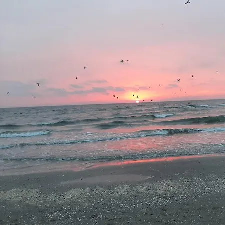 Apartment Sea North Mamaia